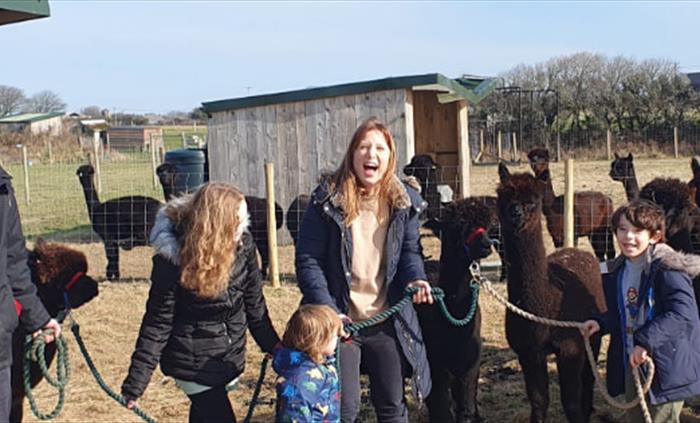 A group standing in an outdoor paddock surrounded by several alpacas. Farm buildings, fencing and open countryside can be seen in the background.